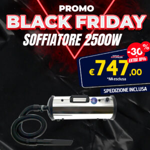 Soffiatore/Pulsore 2500w inox con variatore