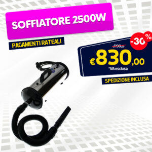 Soffiatore/Pulsore 2500w inox con variatore