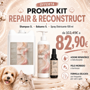 PROMO KIT REPAIR & RECONSTRUCT COTONE
