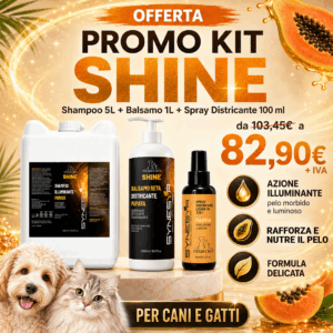 PROMO KIT SHINE PAPAYA