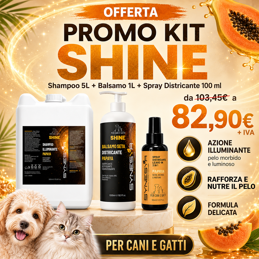PROMO KIT SHINE PAPAYA