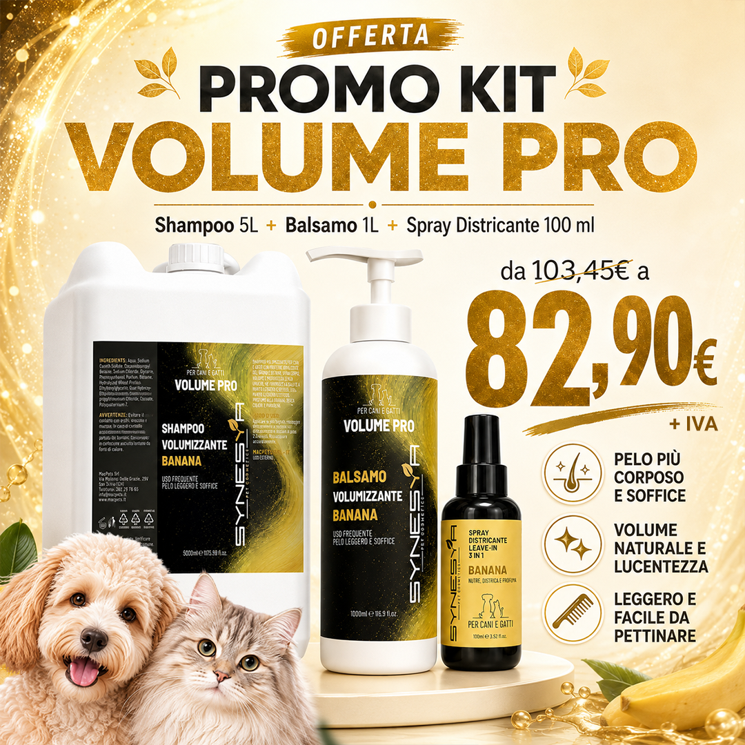 PROMO KIT VOLUME PRO BANANA